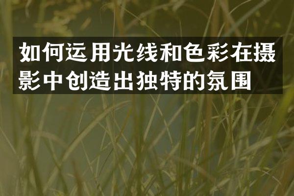 如何运用光线和色彩在摄影中创造出独特的氛围？