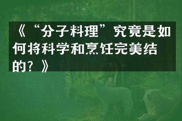 《&ldquo;分子料理&rdquo;究竟是如何将科学和烹饪完美结合的？》
