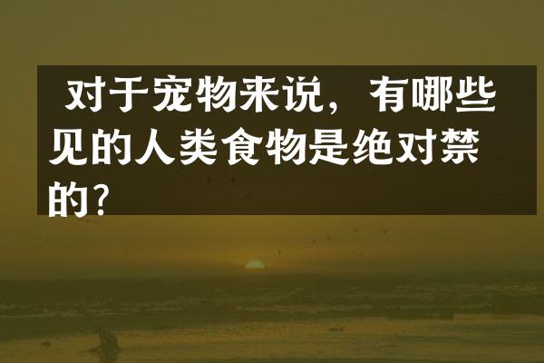  对于宠物来说，有哪些常见的人类食物是绝对禁忌的？