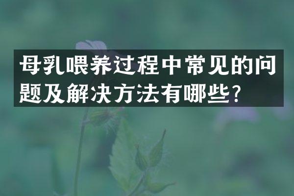母乳喂养过程中常见的问题及解决方法有哪些？