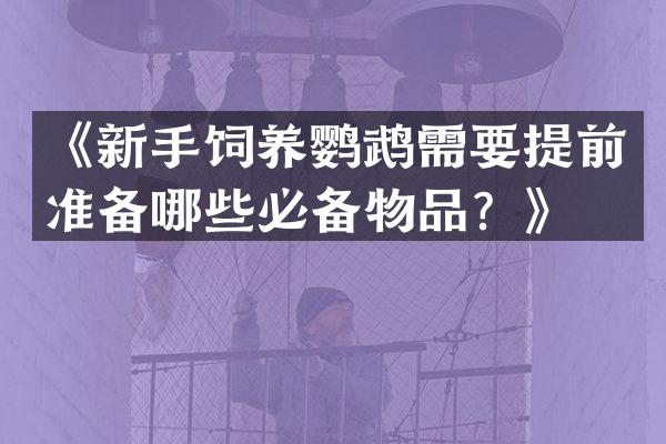 《新手饲养鹦鹉需要提前准备哪些必备物品？》