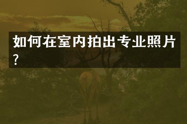 如何在室内拍出专业照片？