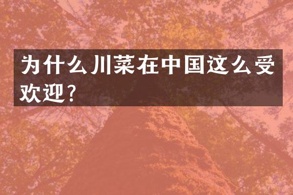 为什么川菜在中国这么受欢迎？