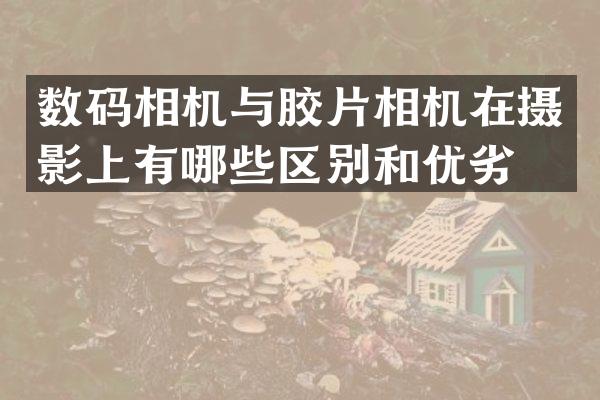数码相机与胶片相机在摄影上有哪些区别和优劣？