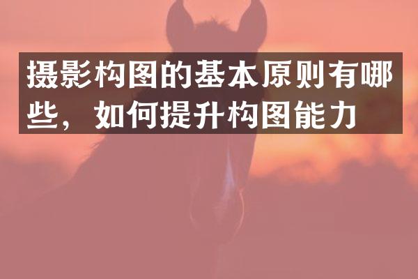 摄影构图的基本原则有哪些，如何提升构图能力？