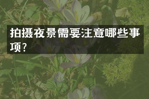 拍摄夜景需要注意哪些事项？
