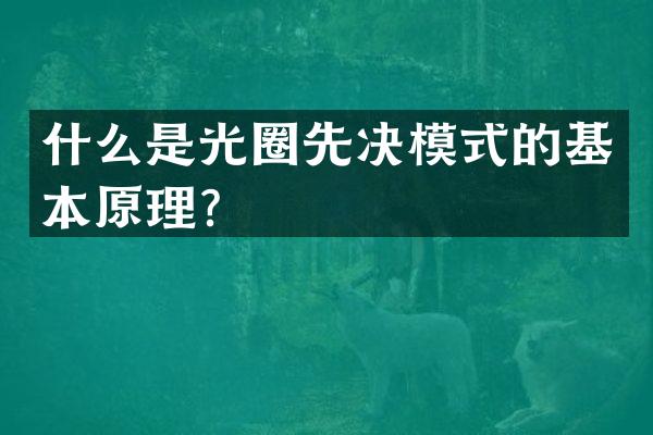 什么是光圈先决模式的基本原理？