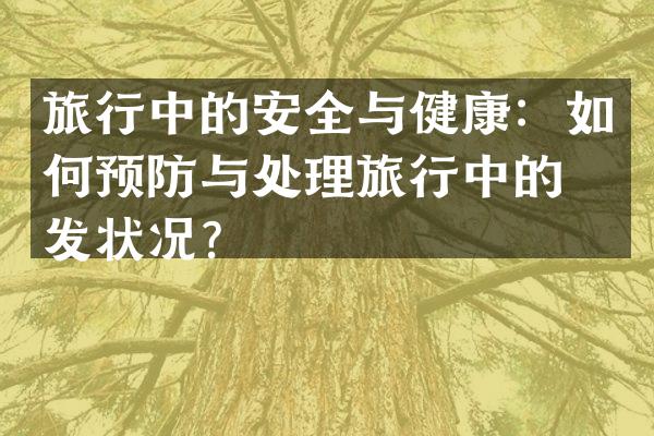 旅行中的安全与健康：如何预防与处理旅行中的突发状况？