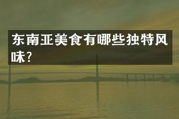 东南亚美食有哪些独特风味？
