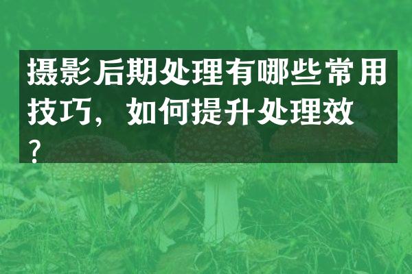 摄影后期处理有哪些常用技巧，如何提升处理效果？