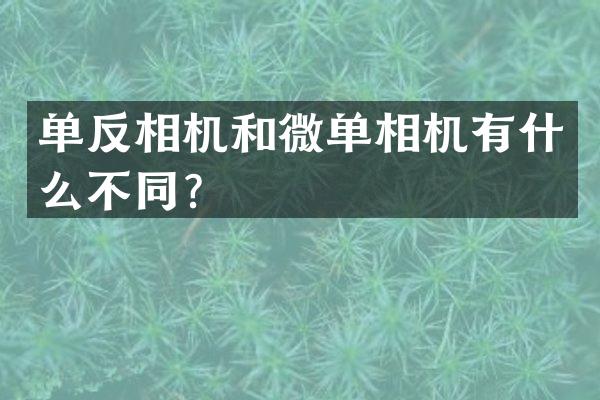 单反相机和微单相机有什么不同？