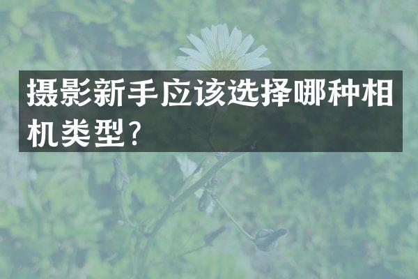 摄影新手应该选择哪种相机类型？