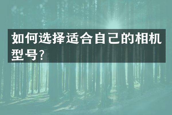 如何选择适合自己的相机型号？