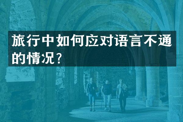 旅行中如何应对语言不通的情况？