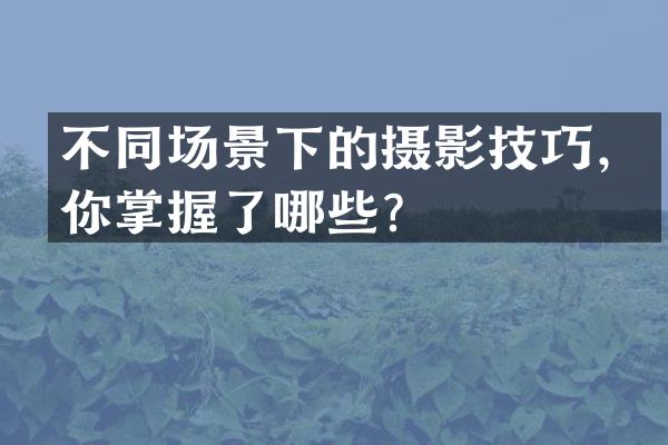 不同场景下的摄影技巧，你掌握了哪些？