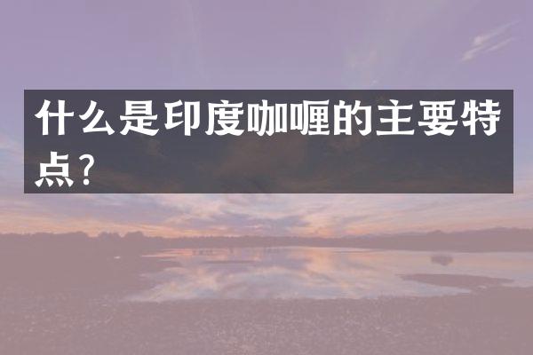 什么是印度咖喱的主要特点？