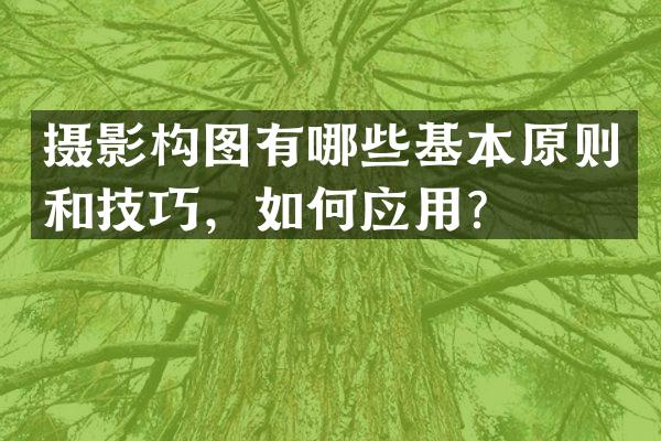 摄影构图有哪些基本原则和技巧，如何应用？