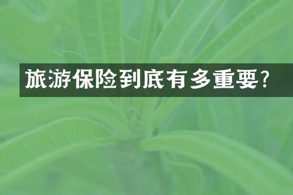 旅游保险到底有多重要？