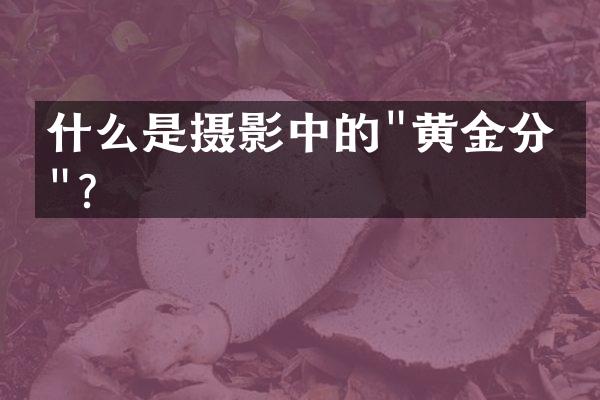 什么是摄影中的"黄金分割"？