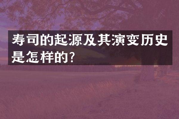 寿司的起源及其演变历史是怎样的？