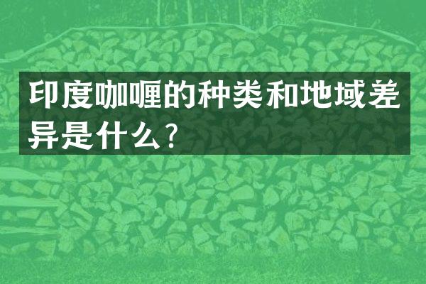 印度咖喱的种类和地域差异是什么？