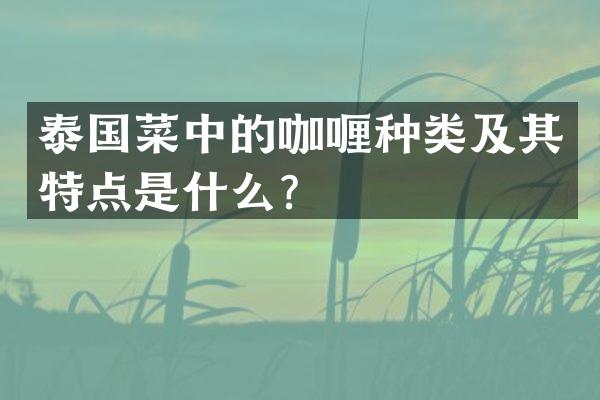 泰国菜中的咖喱种类及其特点是什么？