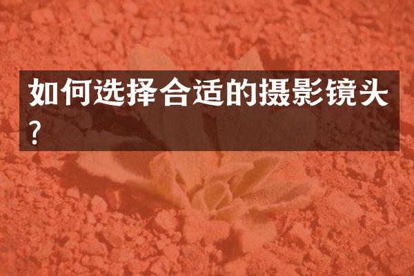 如何选择合适的摄影镜头？