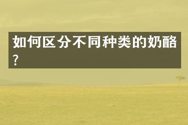 如何区分不同种类的奶酪？