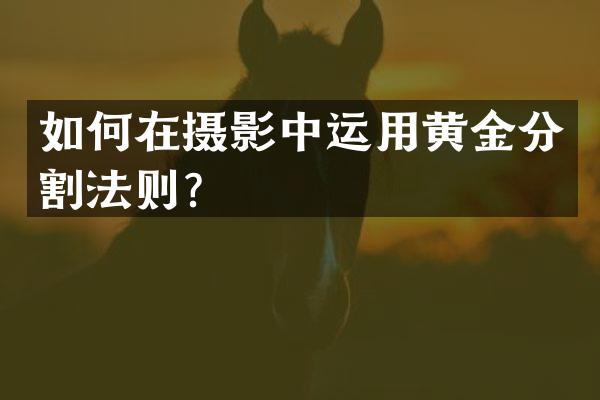 如何在摄影中运用黄金分割法则？