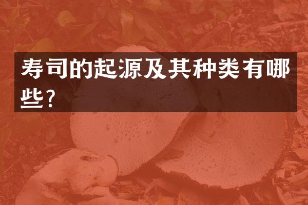 寿司的起源及其种类有哪些？