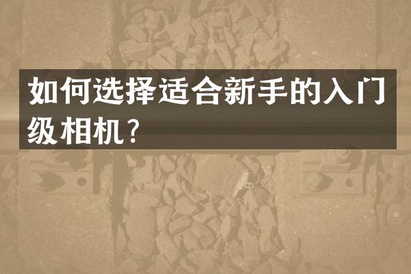 如何选择适合新手的入门级相机？