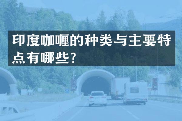 印度咖喱的种类与主要特点有哪些？