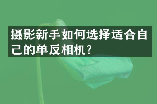 摄影新手如何选择适合自己的单反相机？