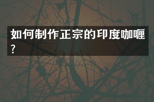 如何制作正宗的印度咖喱？