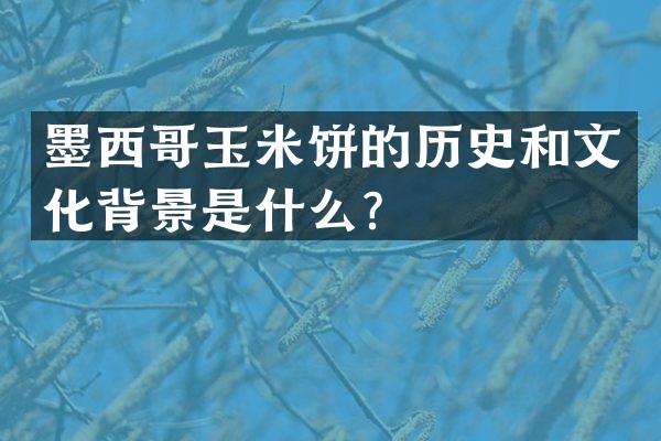 墨西哥玉米饼的历史和文化背景是什么？