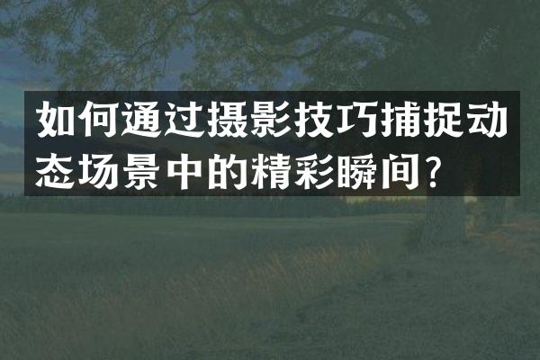 如何通过摄影技巧捕捉动态场景中的精彩瞬间？
