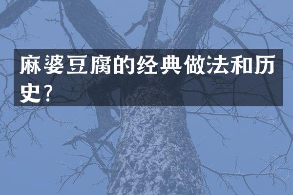 麻婆豆腐的经典做法和历史？