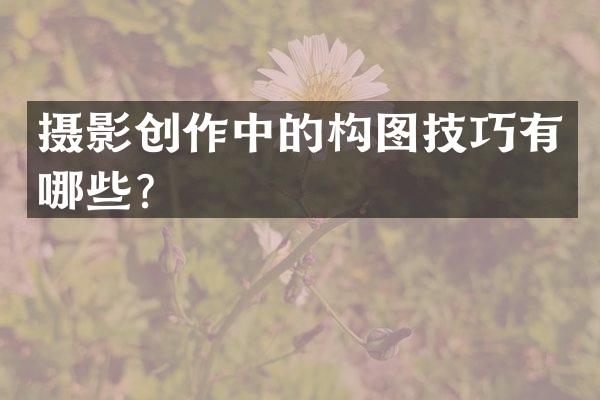 摄影创作中的构图技巧有哪些？