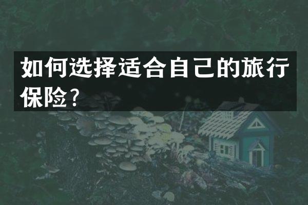 如何选择适合自己的旅行保险？