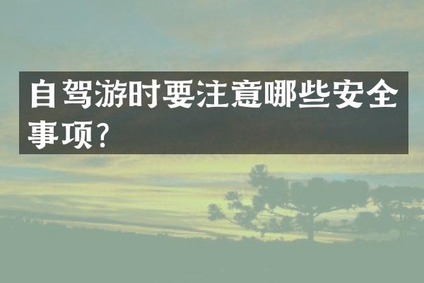 自驾游时要注意哪些安全事项？