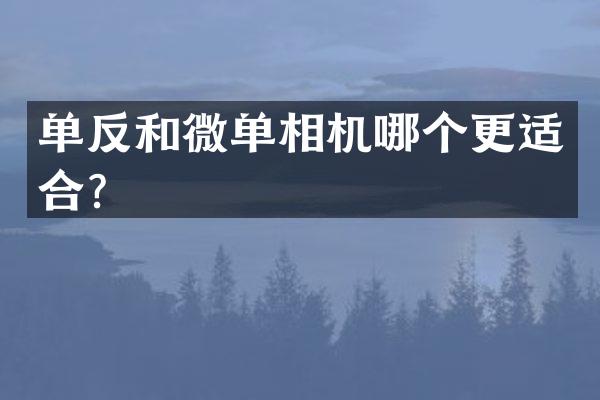 单反和微单相机哪个更适合？