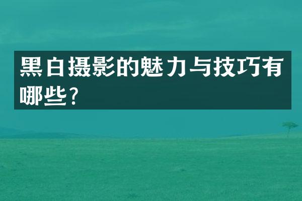 黑白摄影的魅力与技巧有哪些？