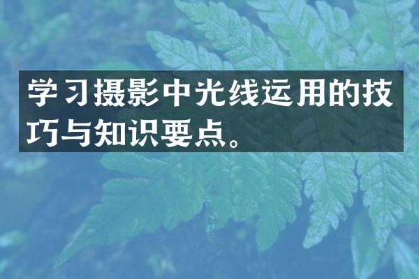 学习摄影中光线运用的技巧与知识要点。