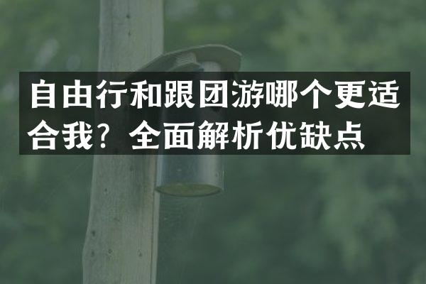 自由行和跟团游哪个更适合我？全面解析优缺点