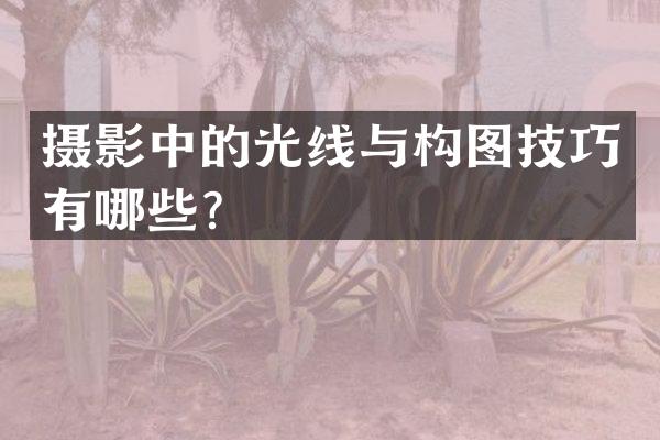 摄影中的光线与构图技巧有哪些？