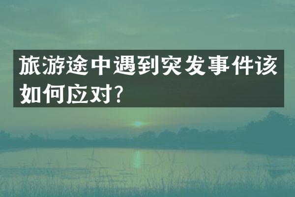 旅游途中遇到突发事件该如何应对？