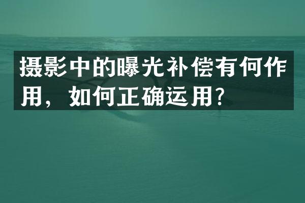 摄影中的曝光补偿有何作用，如何正确运用？