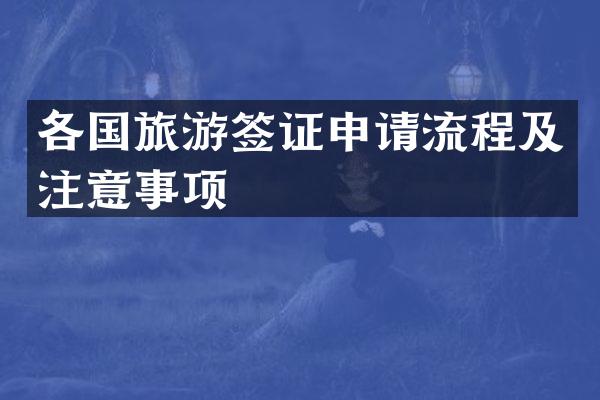 各国旅游签证申请流程及注意事项