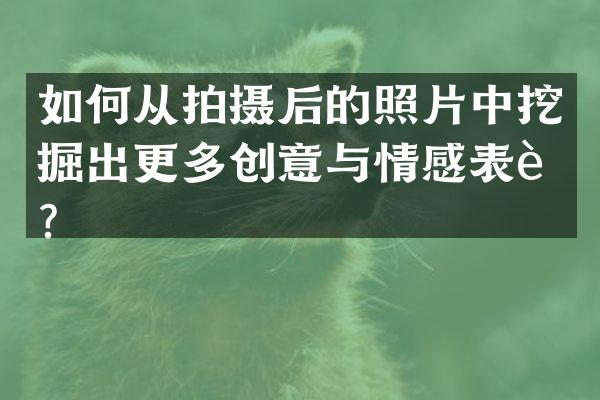 如何从拍摄后的照片中挖掘出更多创意与情感表达？