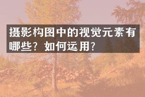 摄影构图中的视觉元素有哪些？如何运用？
